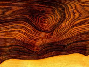 Cocobolo